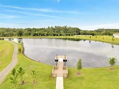14734 Horse Trot Road Lithia, FL 33547 - Photo 61 of 66 a view of a lake with a city