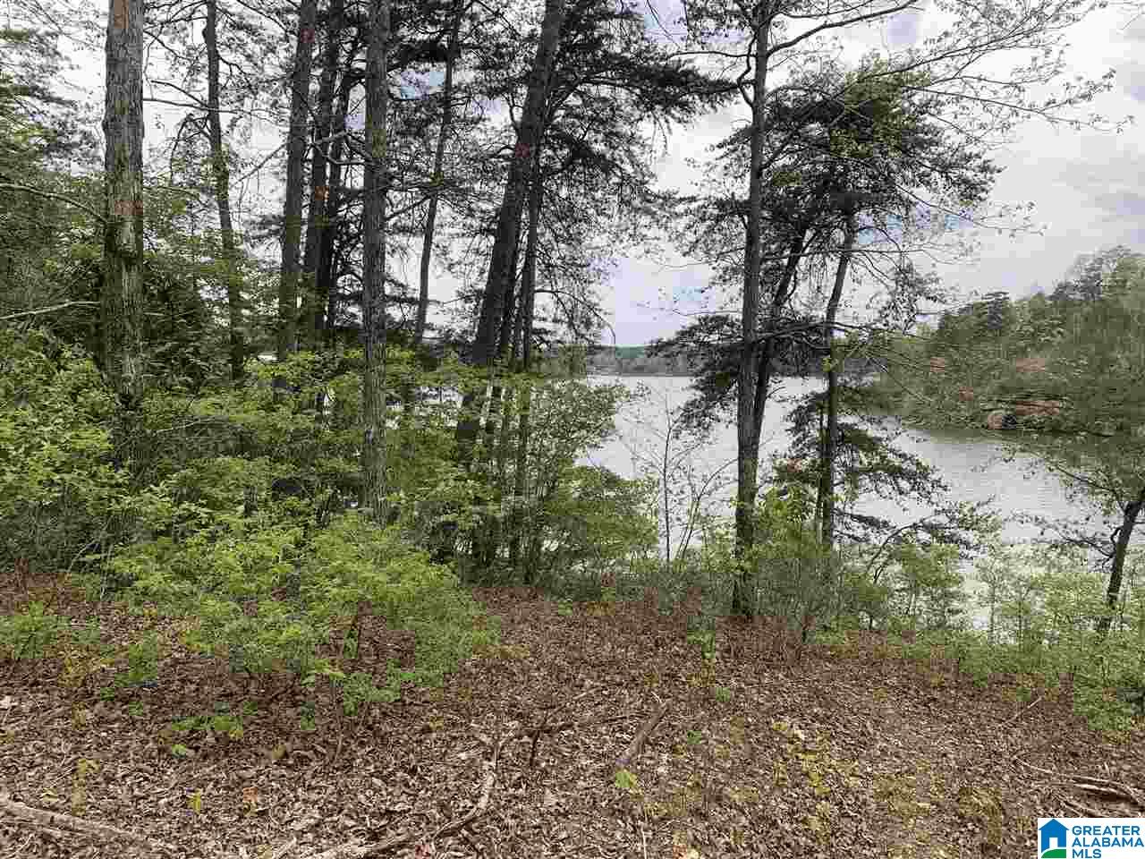 0 Sipsey Pines Road, Unit 132 Arley, AL 35541 - Photo 2 of 5