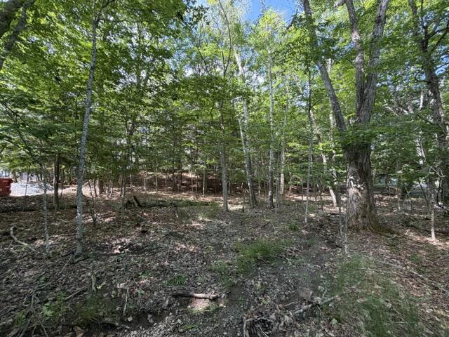 10 Black Point Road Beaver Cove, ME 04441 - Photo 12 of 16 IMG_0822