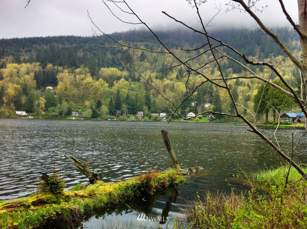 4-lot Thompson Road Sedro-Woolley, WA 98284 - Photo 1 of 1 Gallery Image 1