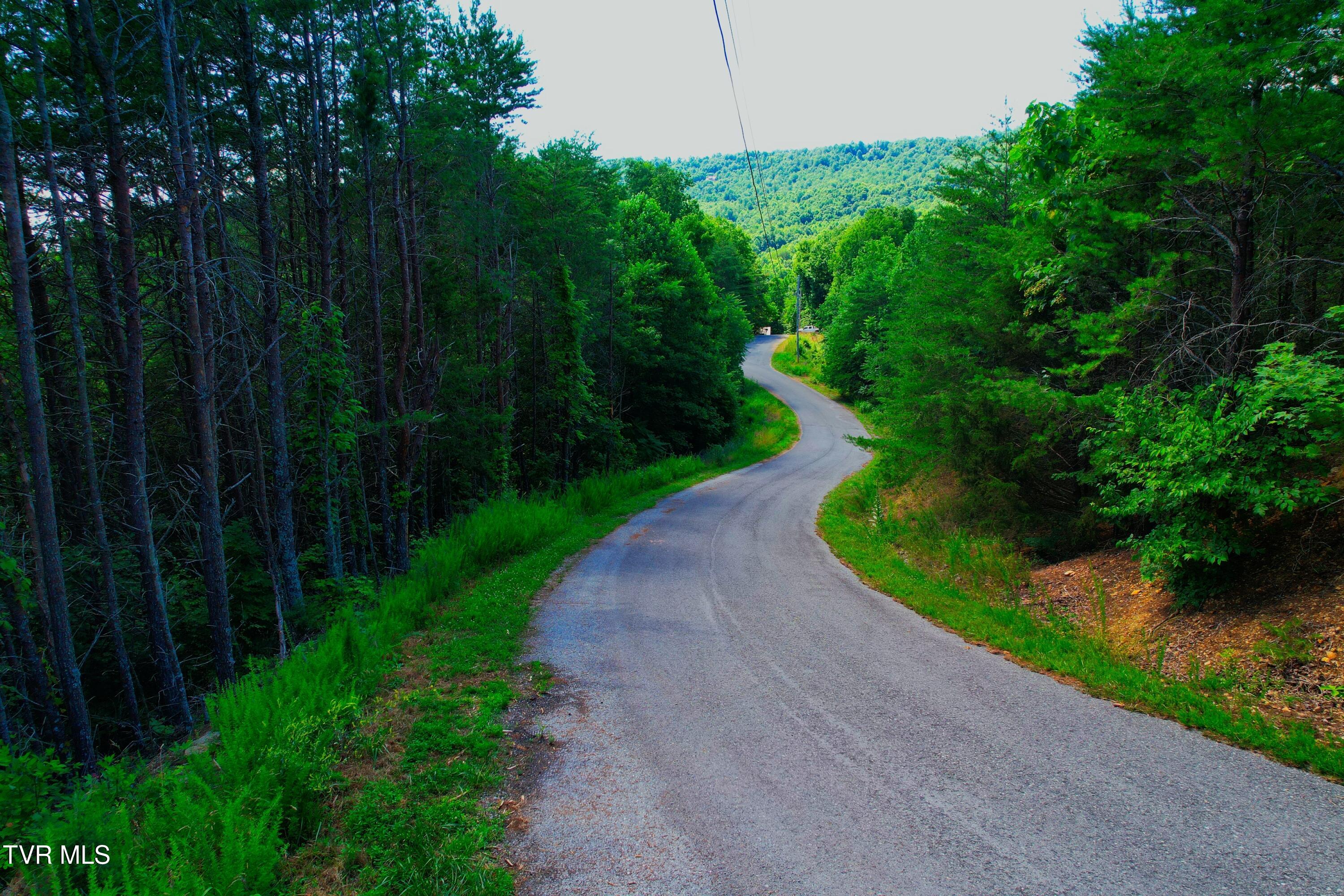Lot 69 Ridgecrest Road New Tazewell, TN 37825 - Photo 35 of 36 Photo (60) (1)