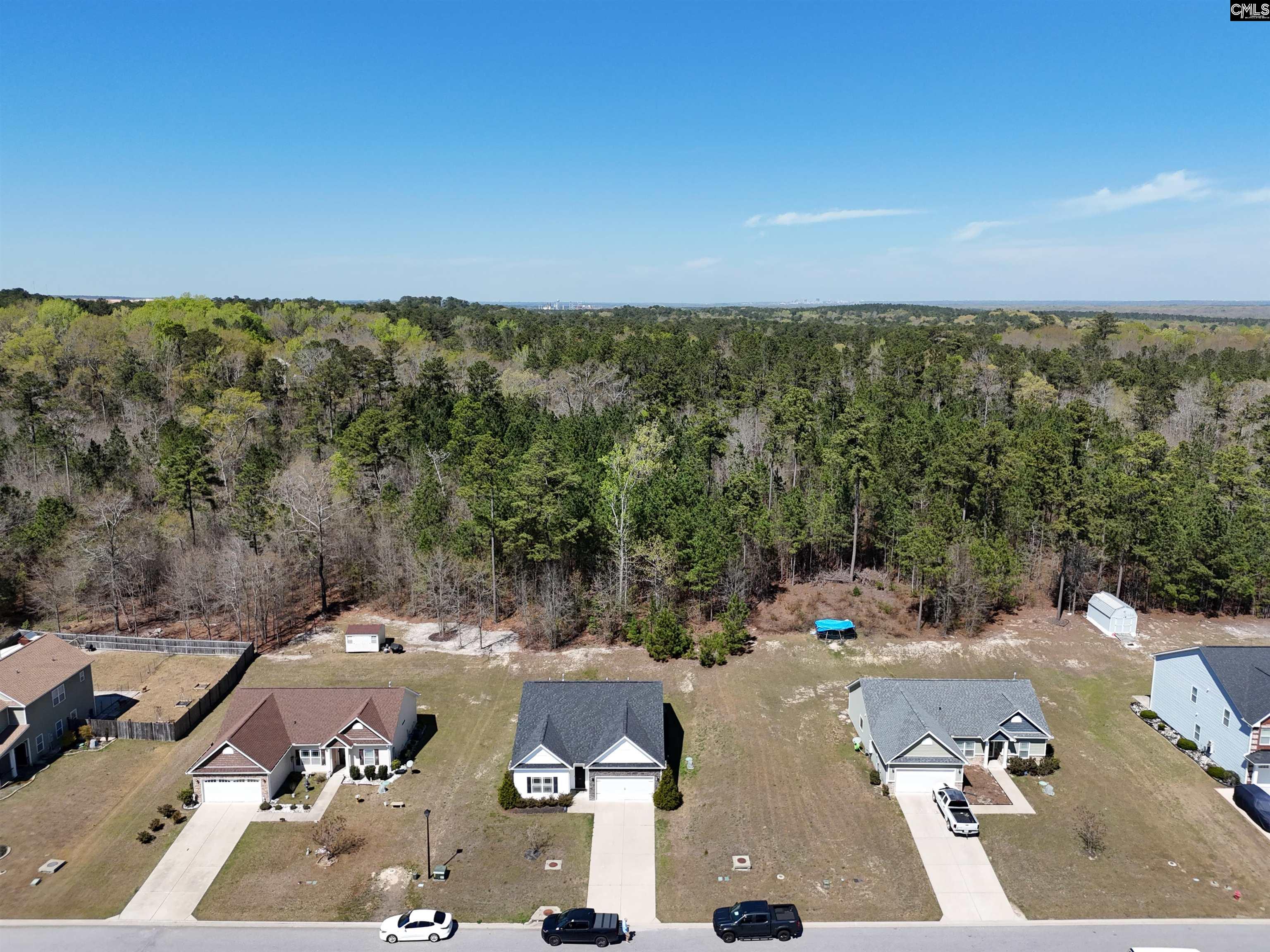114 Tall Pines Road Gaston, SC 29053 - Photo 36 of 43