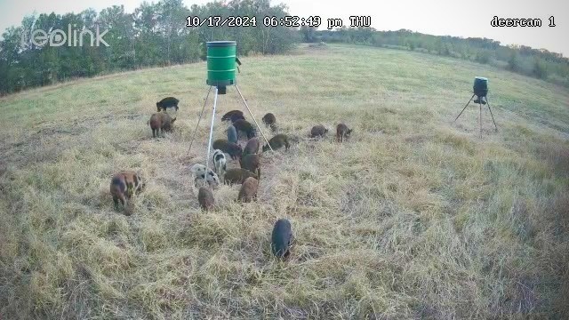 0 Korthauer Road Bellville, TX 77418 - Photo 7 of 13