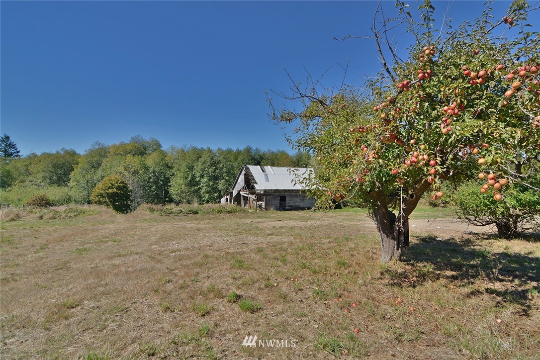 10958 Olalla Valley Road Southeast Olalla, WA 98359 - Photo 23 of 25 Gallery Image 23