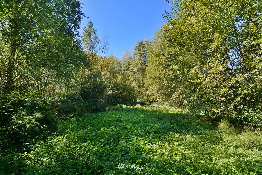 10958 Olalla Valley Road Southeast Olalla, WA 98359 - Photo 24 of 25 Gallery Image 24