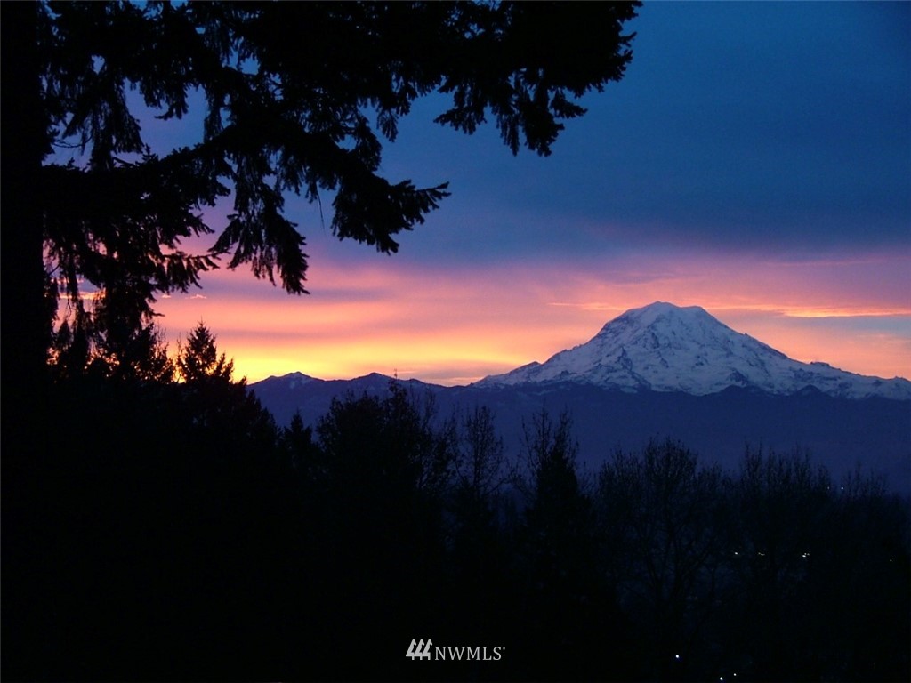 11424 Karshner Road East Edgewood, WA 98372 - Photo 25 of 25