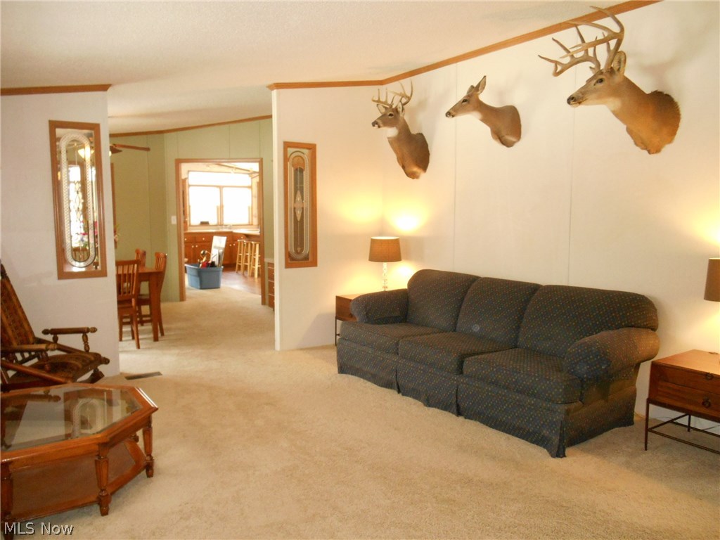 2140 Mahoning Road Deerfield, OH 44411 - Photo 11 of 34 Gallery Image 11