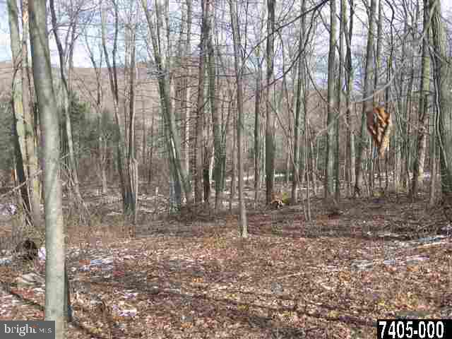 190 Gum Springs Road Fairfield, PA 17320 - Photo 2 of 3 Gallery Image 2