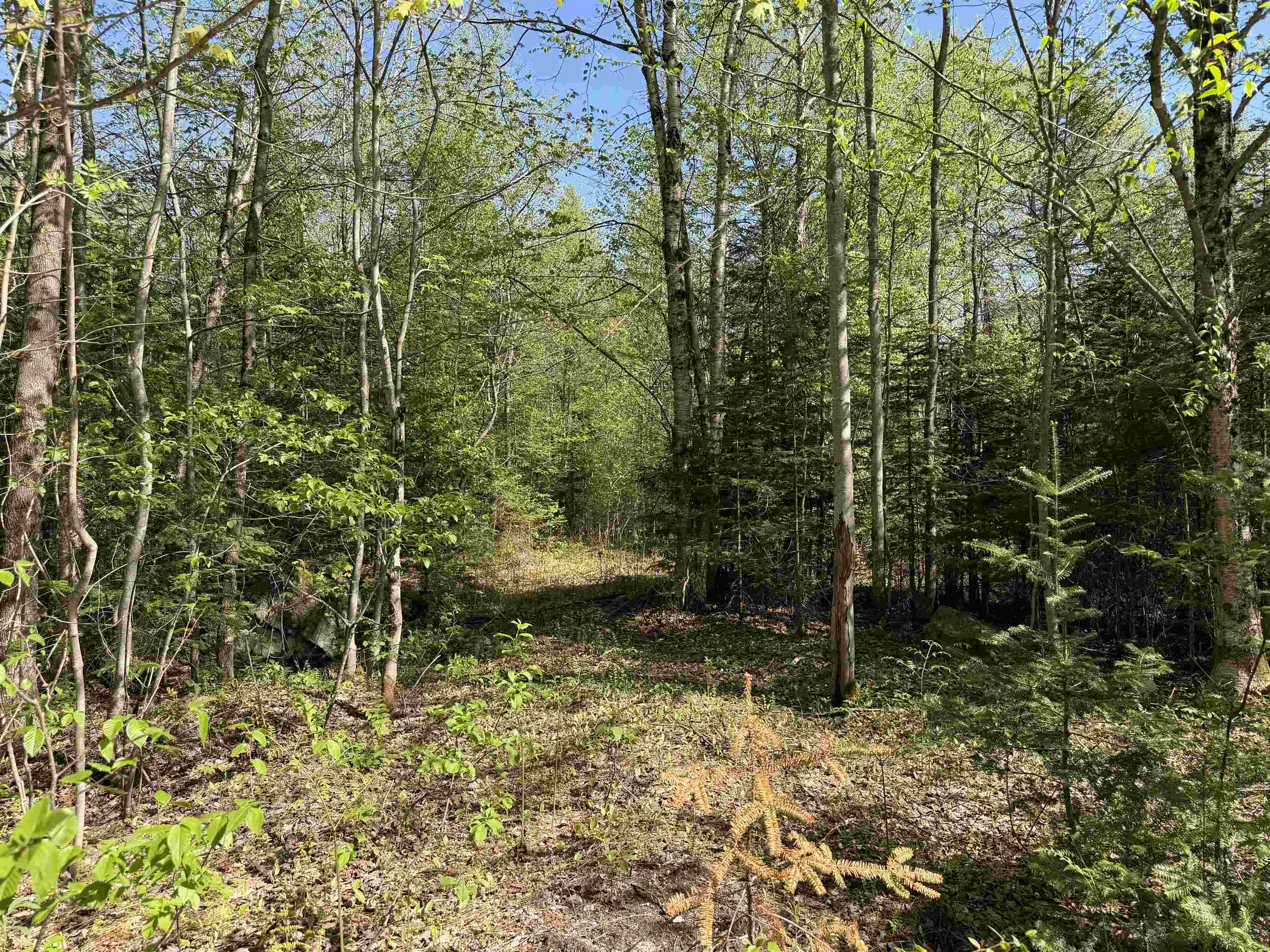 550 Petit Road Newport, VT 05855 - Photo 11 of 20