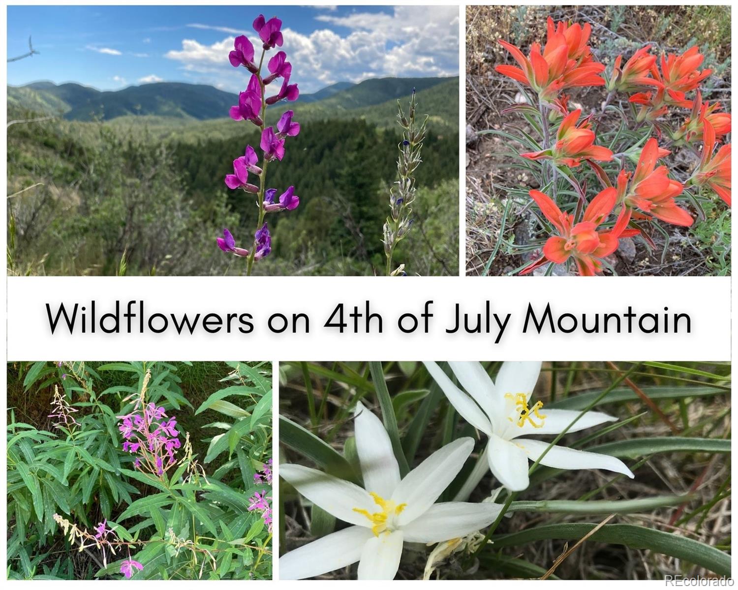 0 North Canyon Road Littleton, CO 80127 - Photo 13 of 22