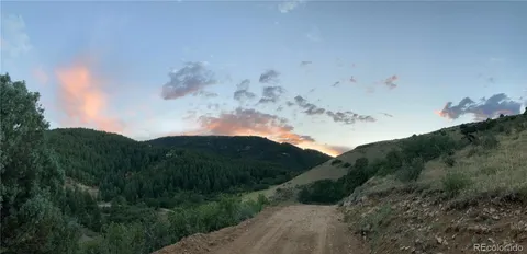 a view of a bunch of trees