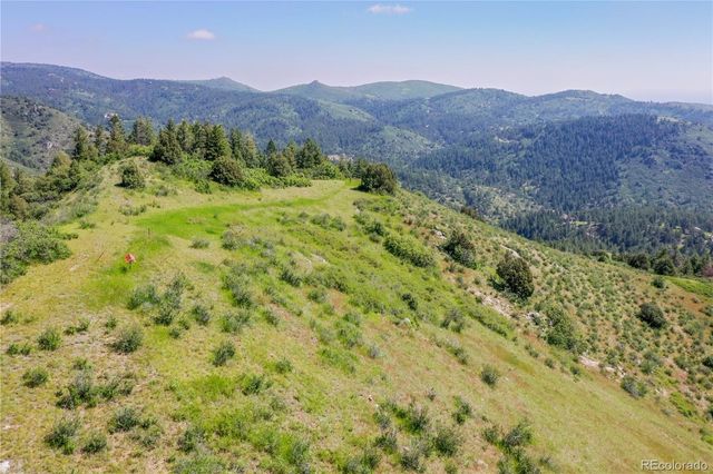 a view of a lush green hillside and a mountain