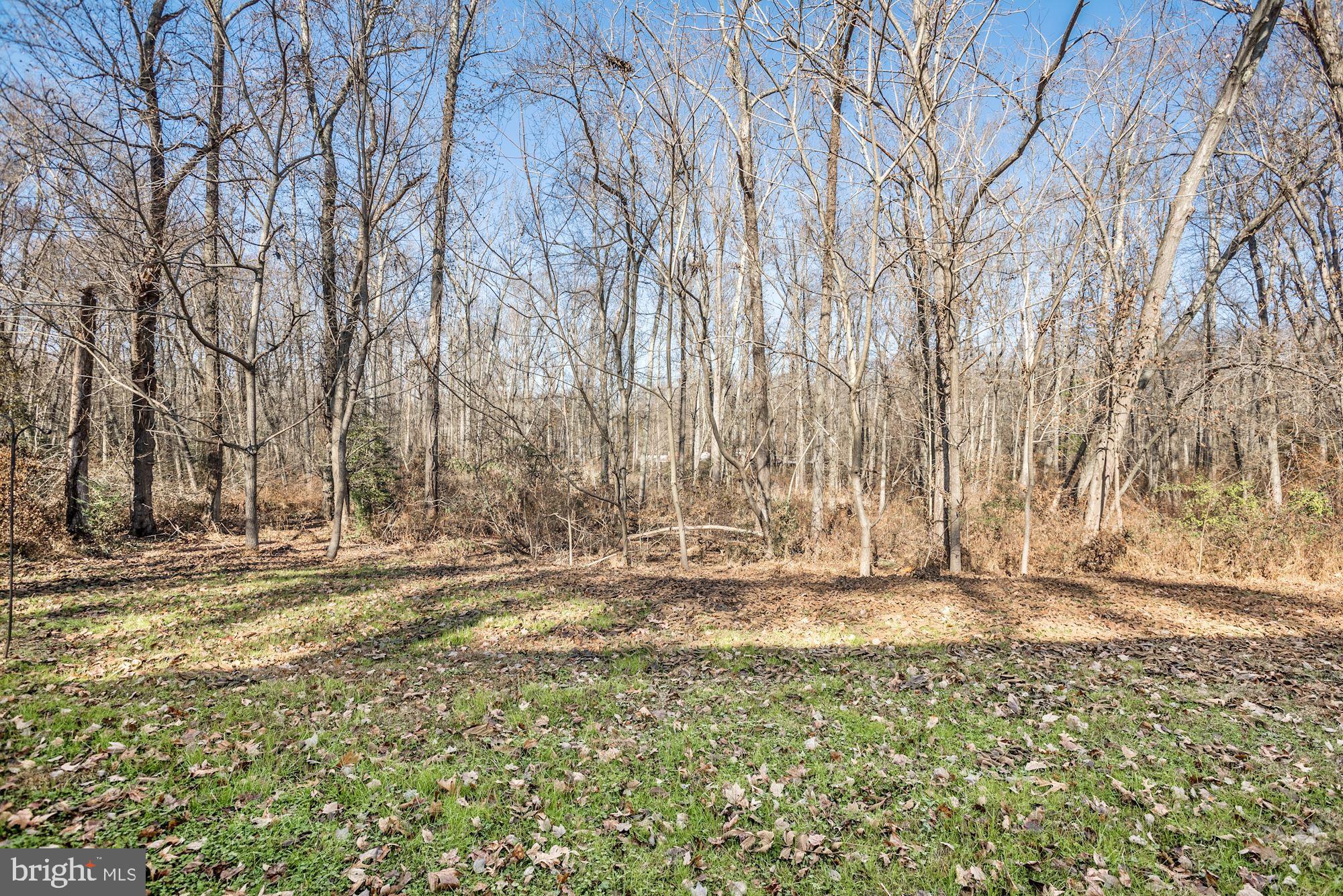 6 Old Red Lion Road Southampton, NJ 08088 - Photo 26 of 26 Woods View