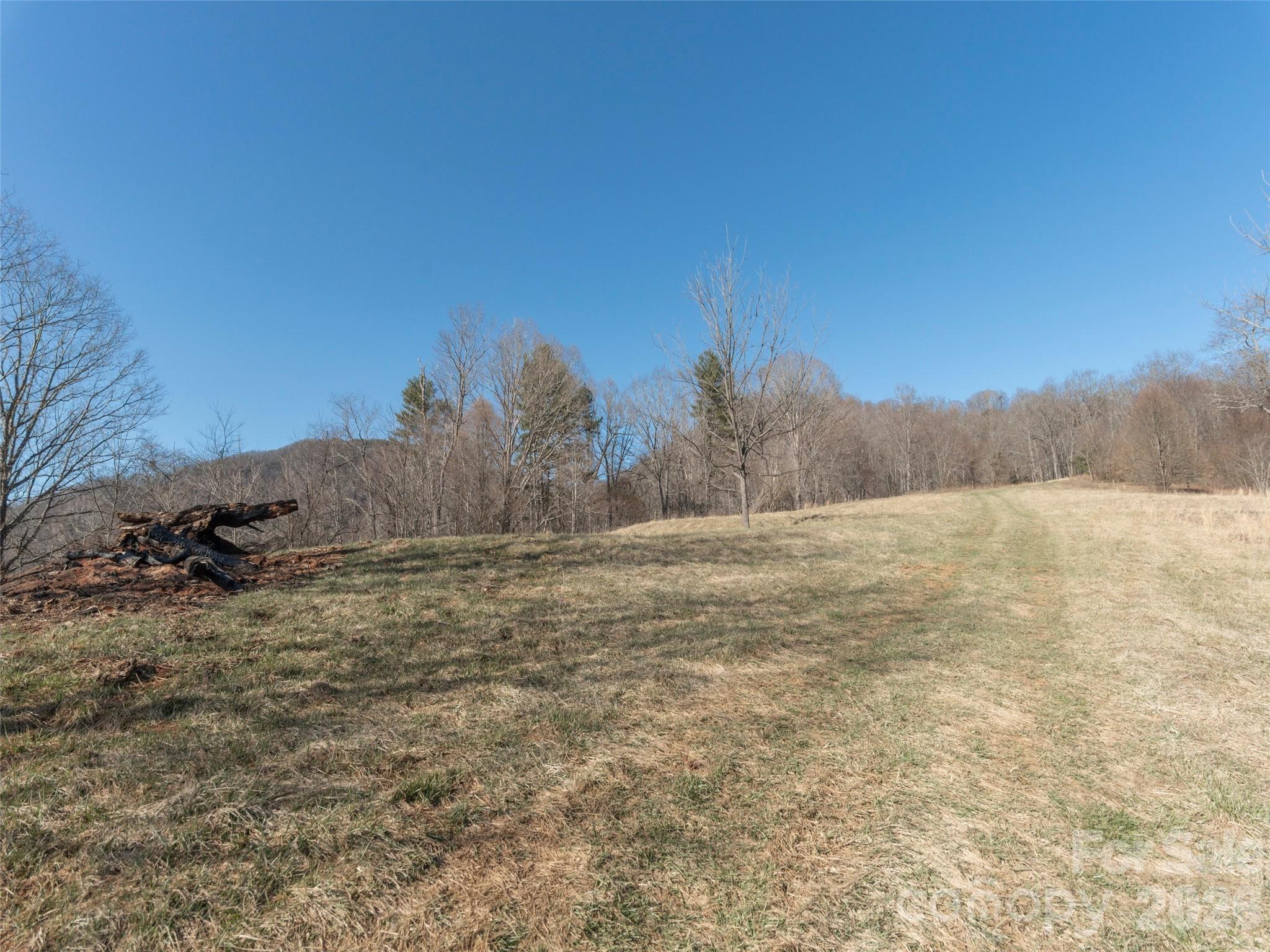 74 Buckeye Cove Road Canton, NC 28716 - Photo 3 of 12