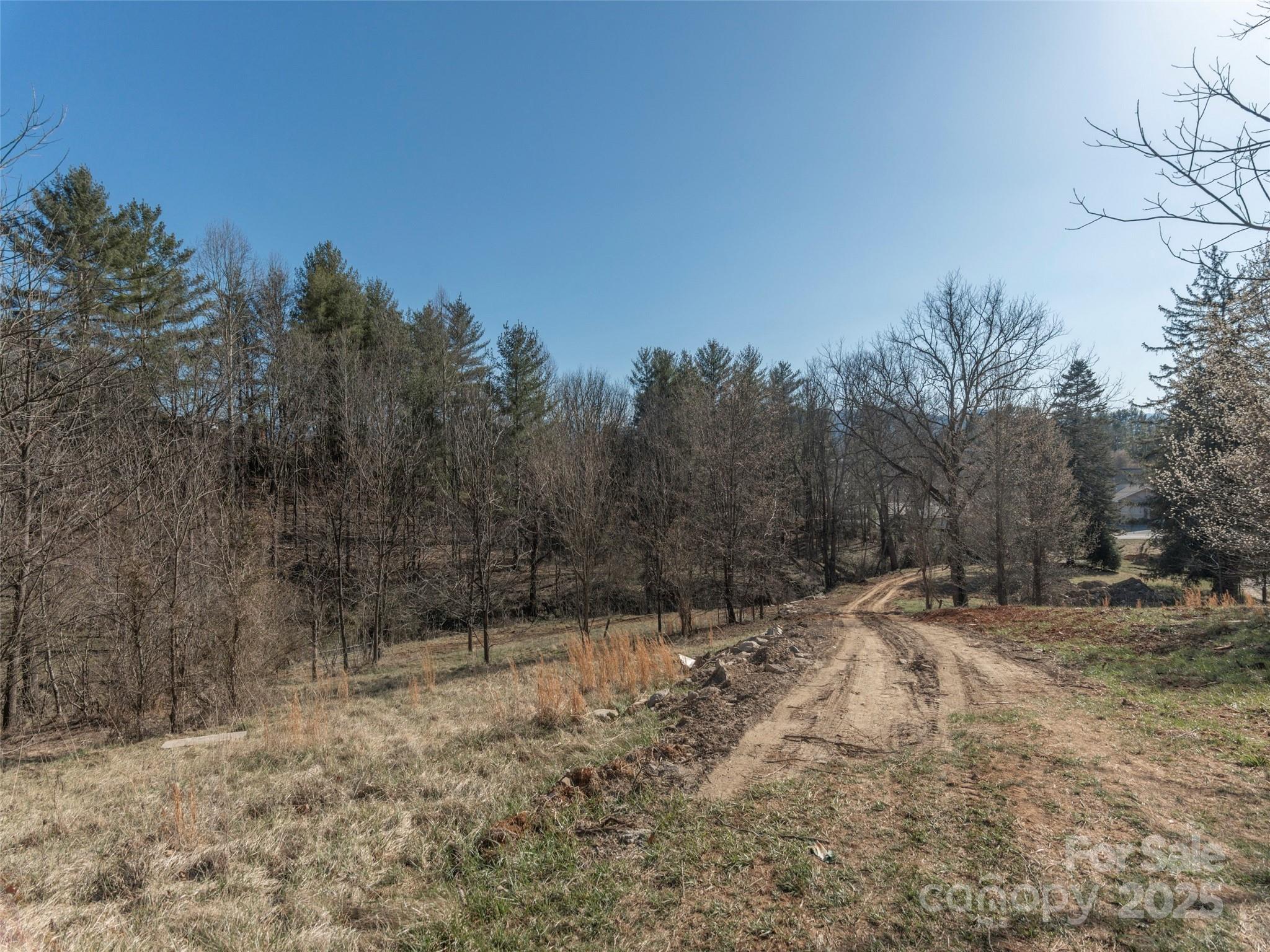 74 Buckeye Cove Road Canton, NC 28716 - Photo 5 of 12