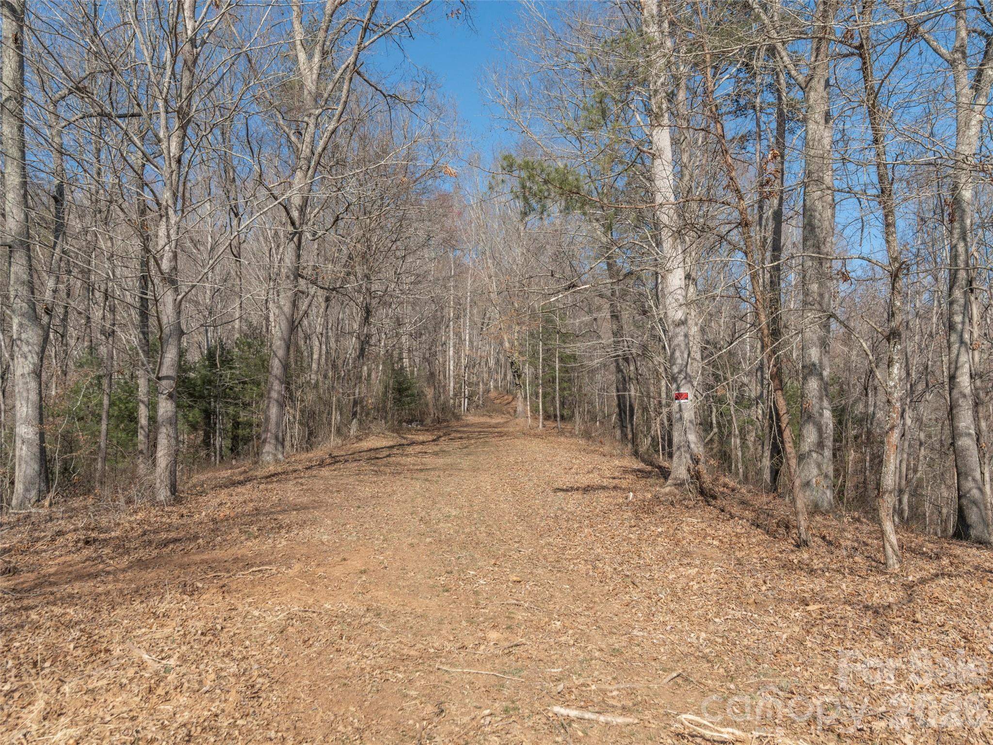 74 Buckeye Cove Road Canton, NC 28716 - Photo 6 of 12