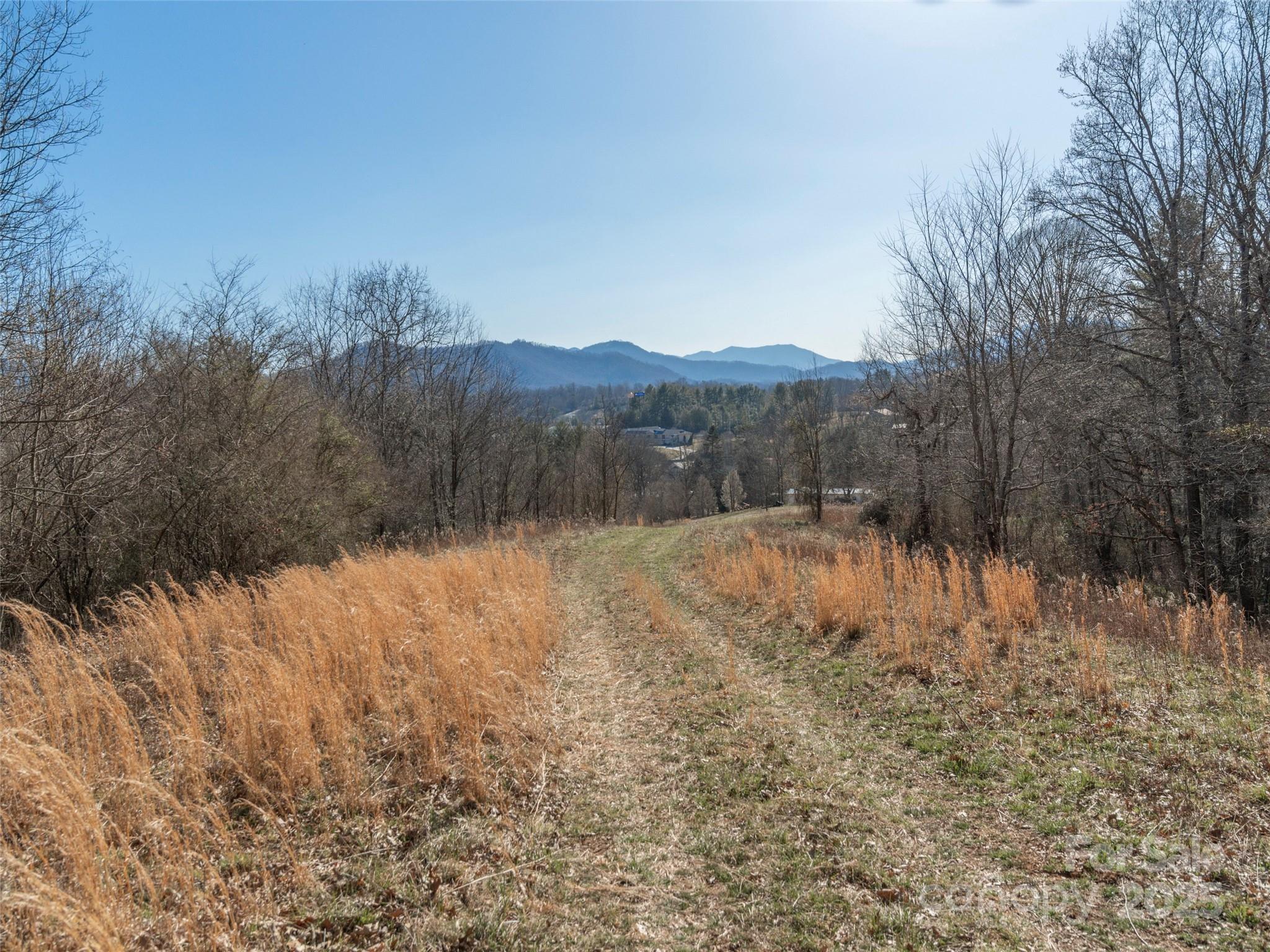 74 Buckeye Cove Road Canton, NC 28716 - Photo 7 of 12