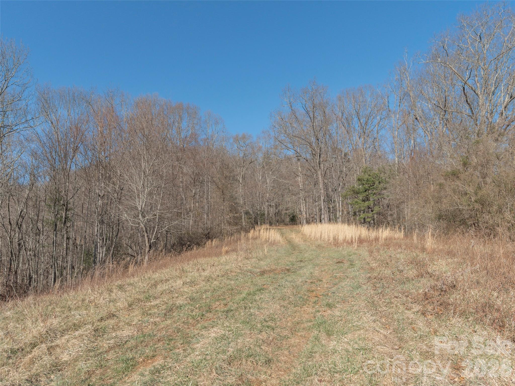 74 Buckeye Cove Road Canton, NC 28716 - Photo 8 of 12