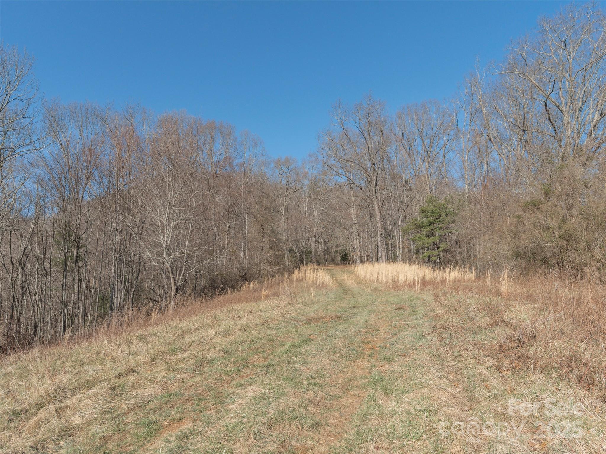 74 Buckeye Cove Road Canton, NC 28716 - Photo 8 of 12