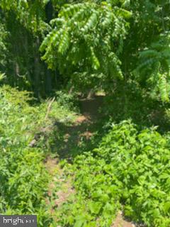 6158 Ebenezer Road Middle River, MD 21220 - Photo 22 of 28 Gallery Image 22