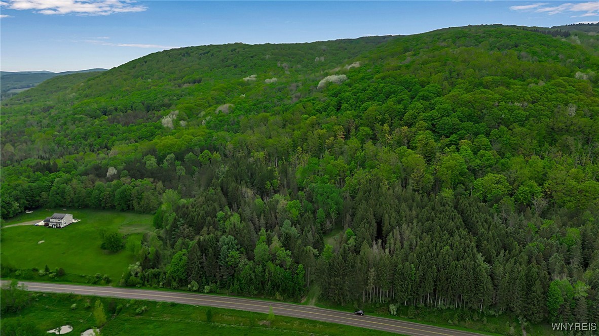 Vl Maples Road Little Valley, NY 14755 - Photo 2 of 12