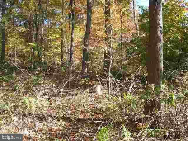 Lot 14 East Walnut Grove Road Fawn Grove, PA 17321 - Photo 3 of 5 Gallery Image 3