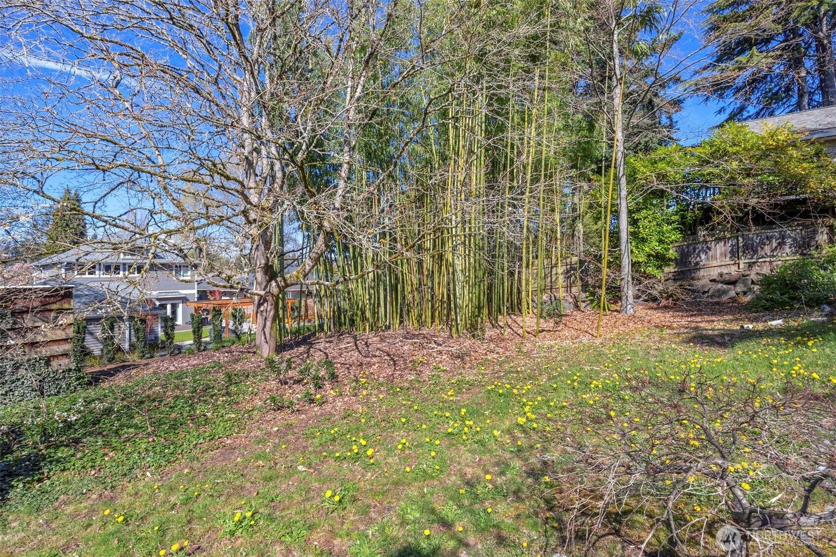 6825 43rd Avenue Northeast Seattle, WA 98115 - Photo 36 of 39