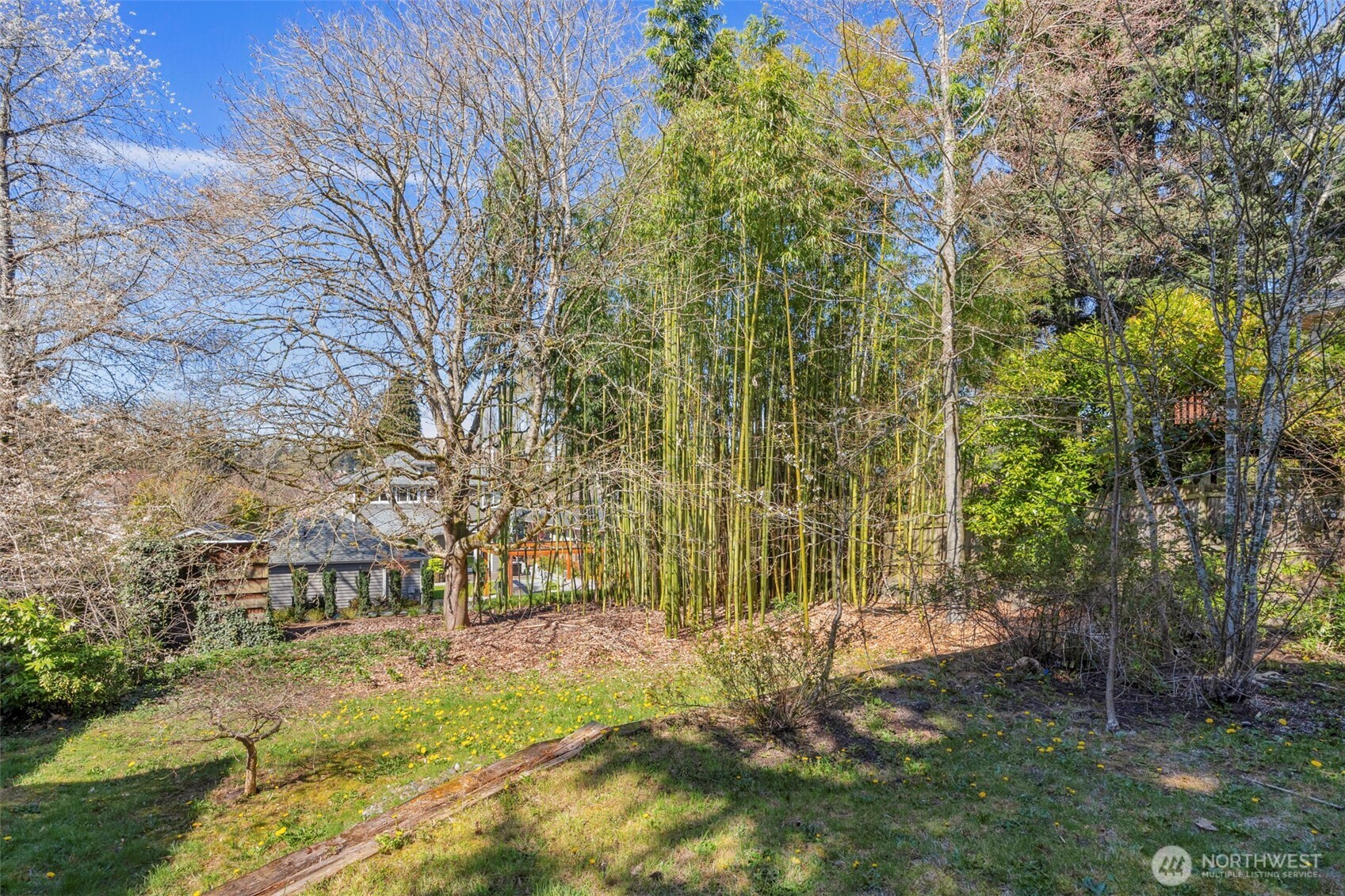6825 43rd Avenue Northeast Seattle, WA 98115 - Photo 37 of 39
