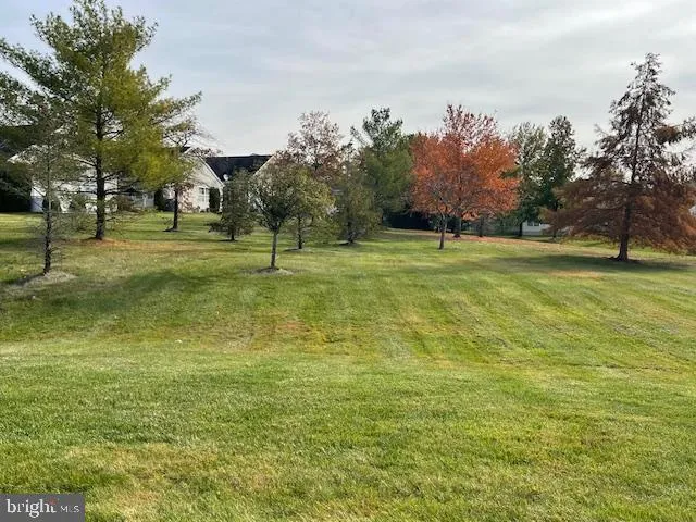 a yard with trees in the background