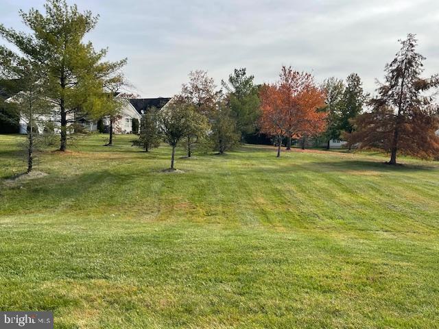 9 Brattleboro Road Swedesboro, NJ 08085 - Photo 24 of 26 a yard with trees in the background