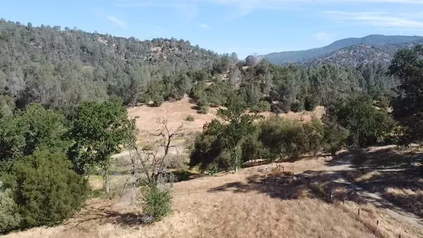 a view of a forest with mountains in the background
