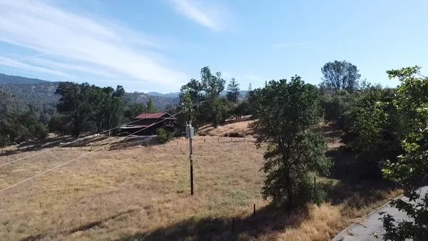 a view of a dry yard