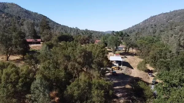 a view of a city with lush green forest