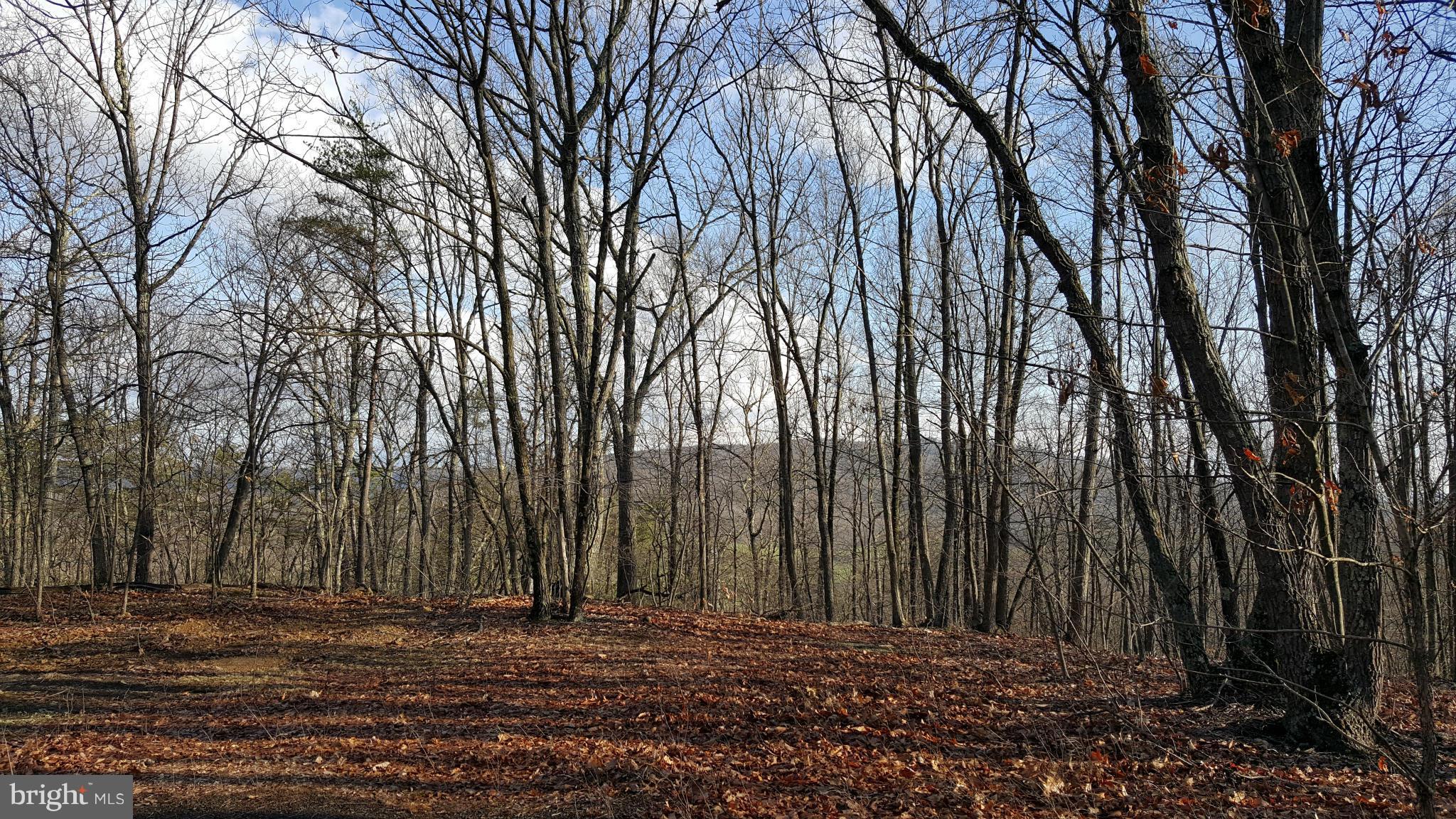 a view of a backyard of the house