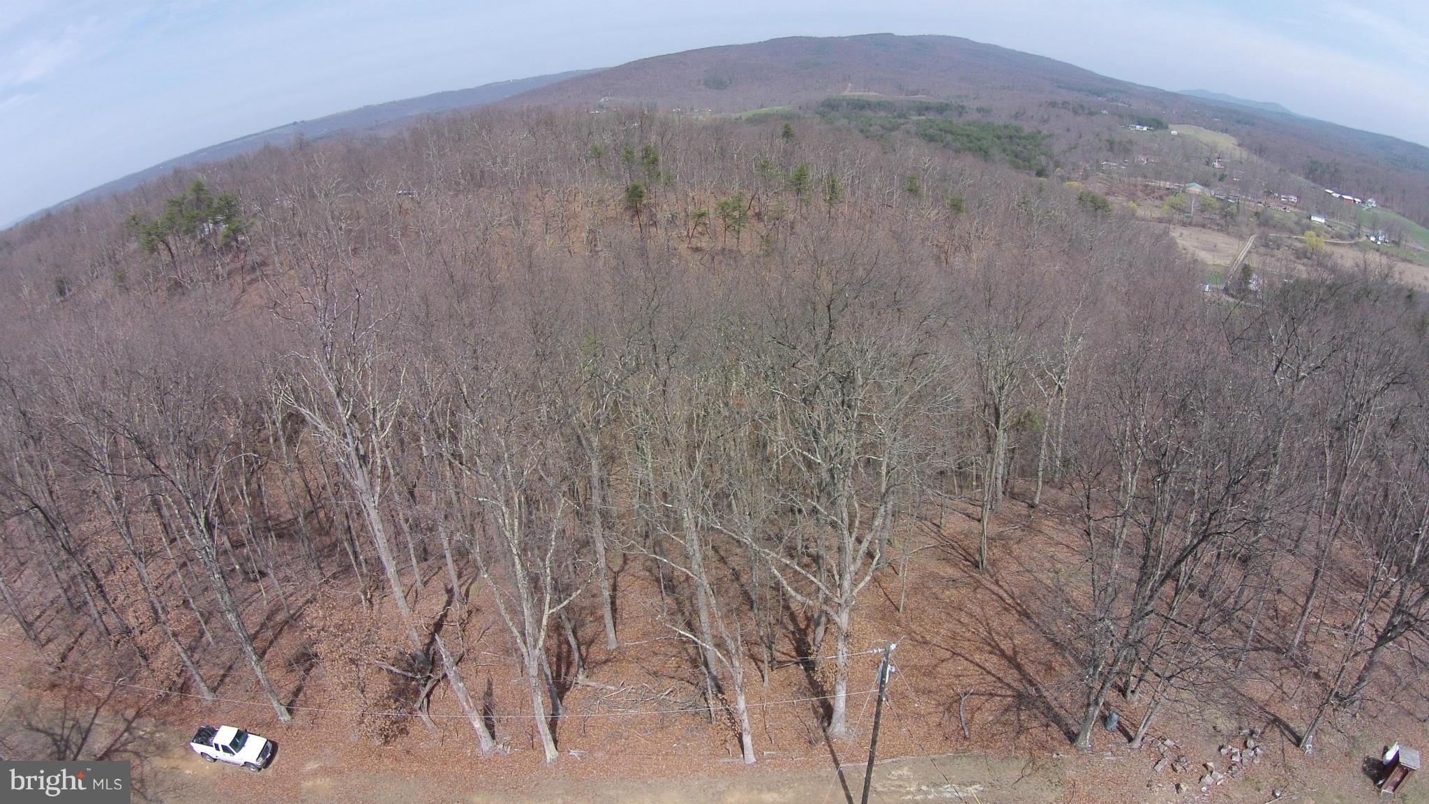 Wagner Road Oldtown, MD 21555 - Photo 22 of 25 a view of a dry field with trees in the background