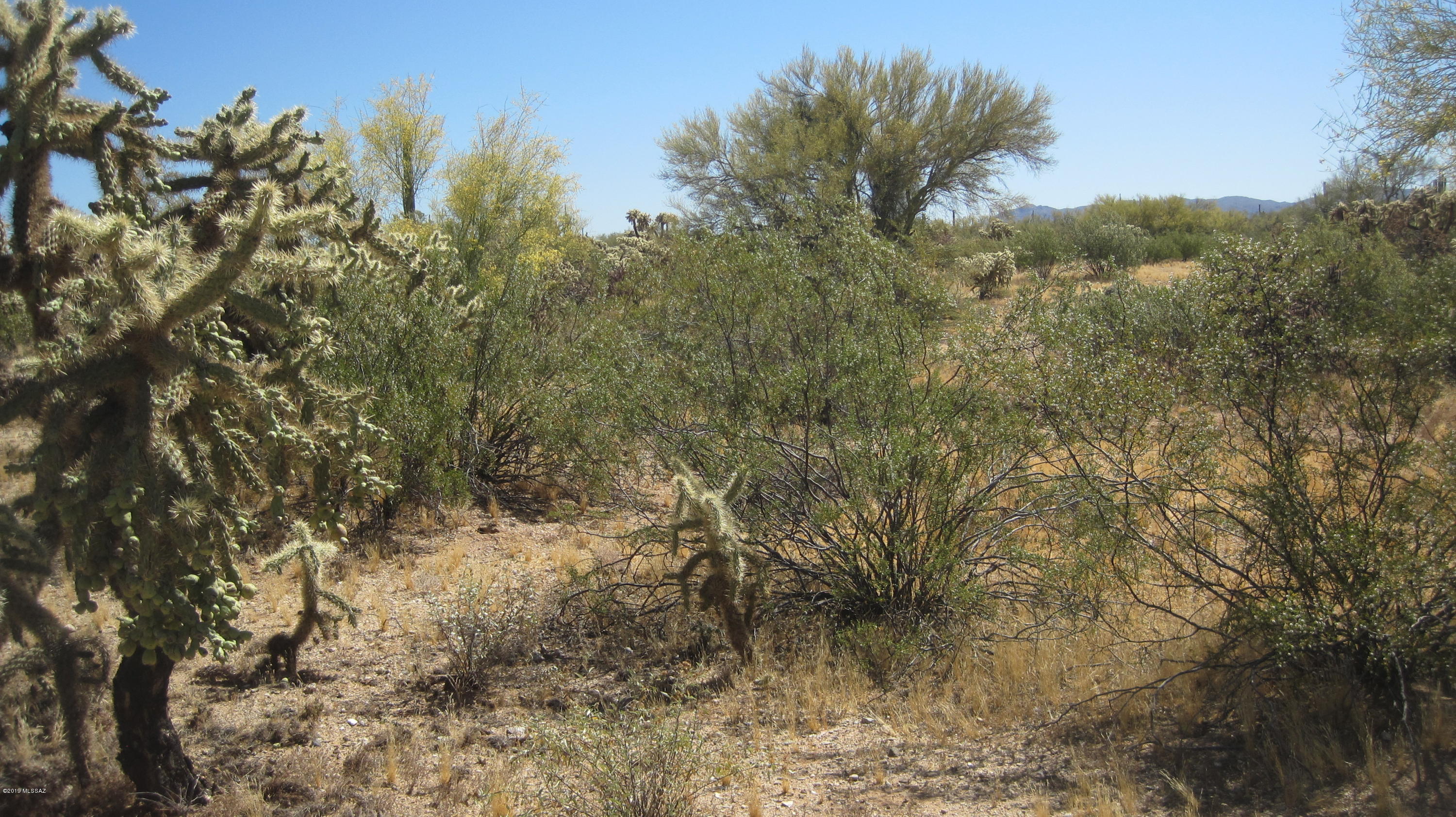 Oo South Cattle Tank Road, Unit 7 5 AC Marana, AZ 85658 - Photo 11 of 22