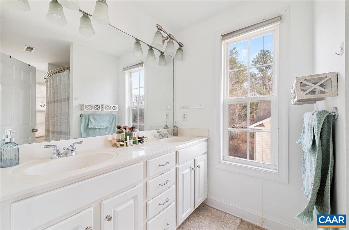 1375 Amber Ridge Road Charlottesville, VA 22901 - Photo 34 of 48 a bathroom with double vanity sink a mirror a vanity and a shower