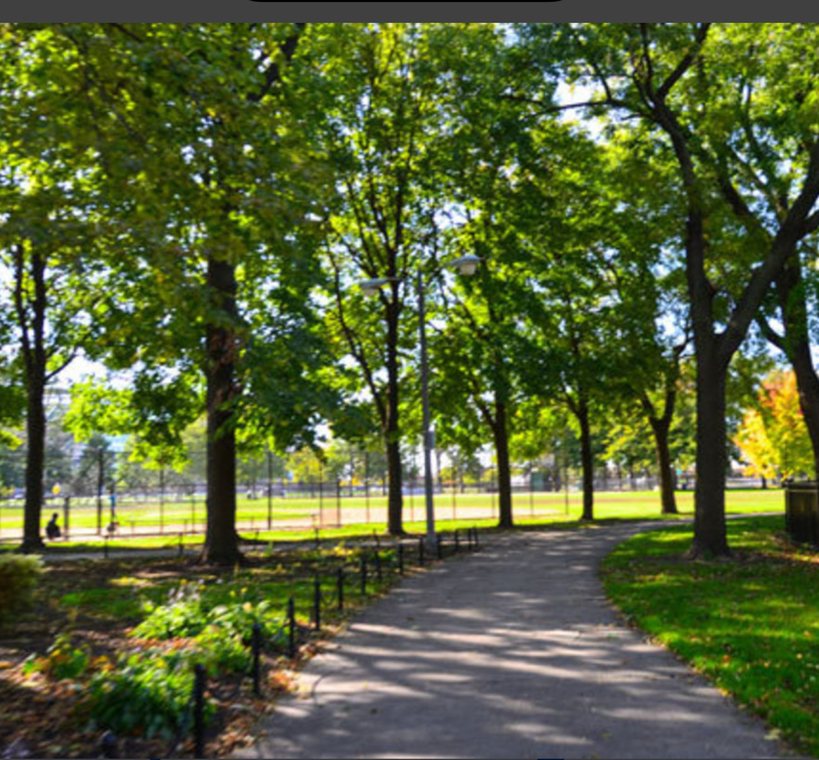 3213 South Wells Street, Unit 1 Chicago, IL 60616 - Photo 27 of 28 a view of a yard with trees