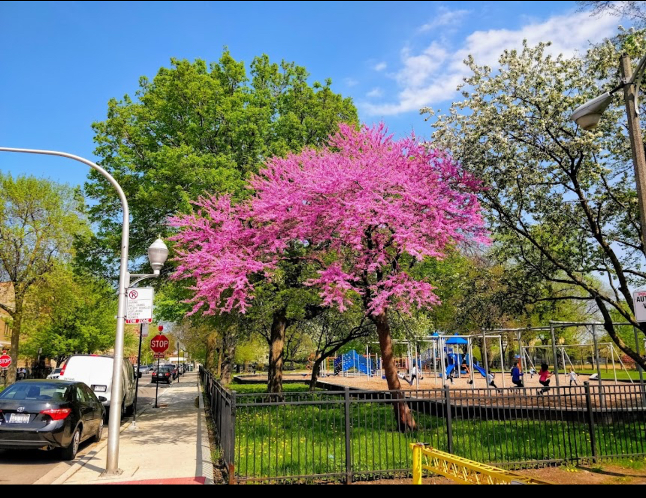 3213 South Wells Street, Unit 1 Chicago, IL 60616 - Photo 28 of 28 a front view of a house with a garden and fountain