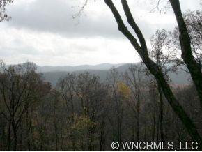 1313 Hogback Mountain Road Tryon, NC 28782 - Photo 10 of 12 Gallery Image 10