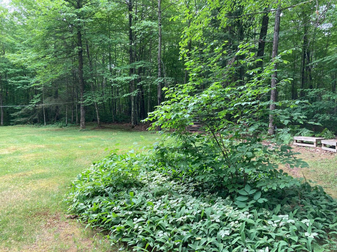 6401 Pigeon Road Lake Tomahawk, WI 54539 - Photo 12 of 13 Gallery Image 12