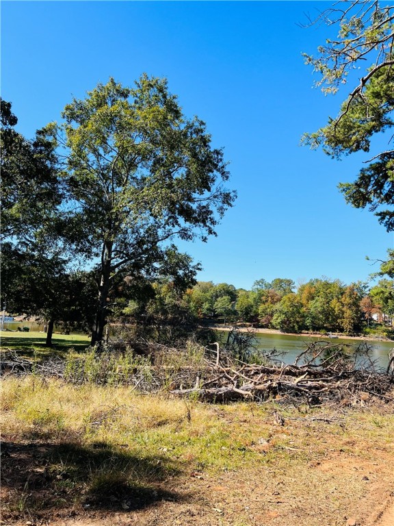 0 Black Road Abbeville, SC 29620 - Photo 15 of 44 Gallery Image 15