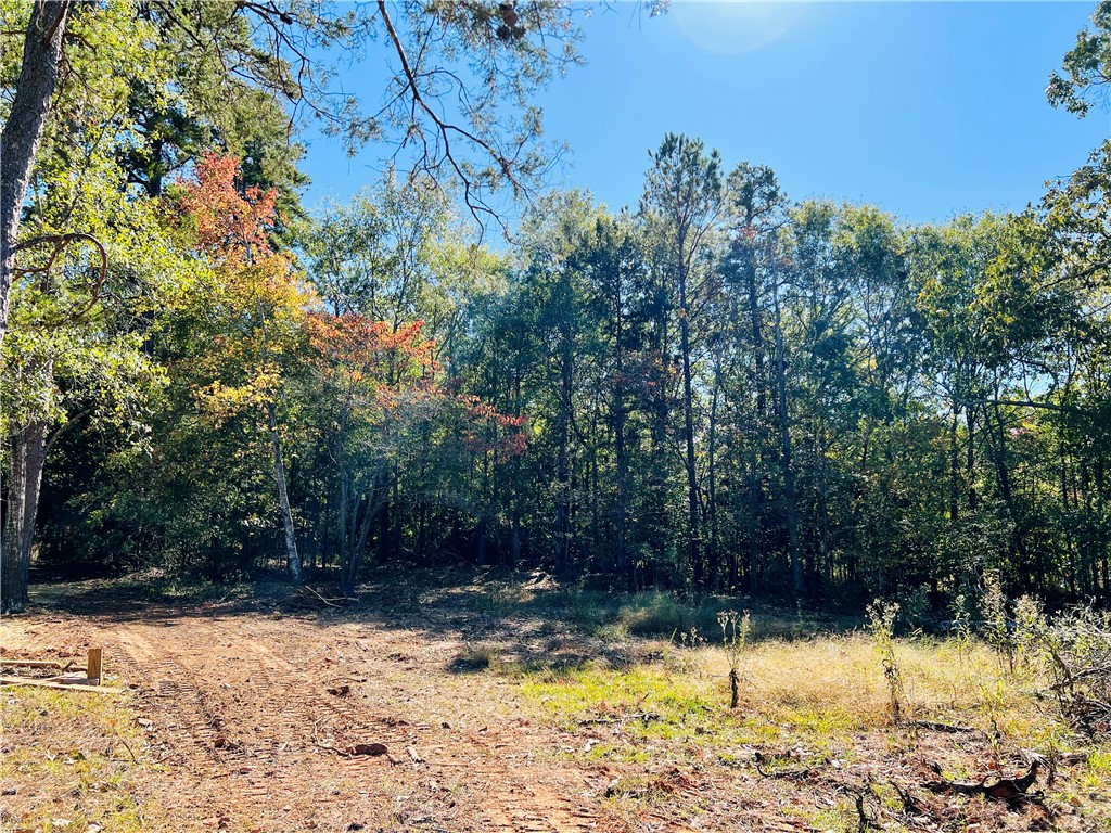 0 Black Road Abbeville, SC 29620 - Photo 18 of 44 Gallery Image 18