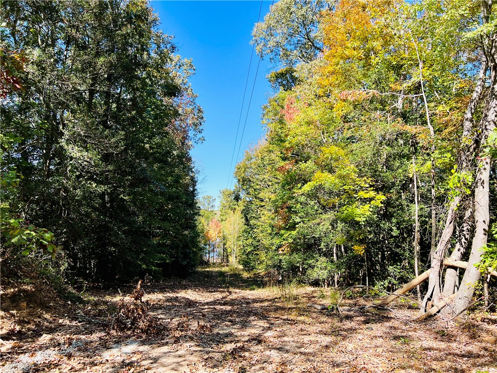 0 Black Road Abbeville, SC 29620 - Photo 2 of 44 DRIVEWAY TO LAKE