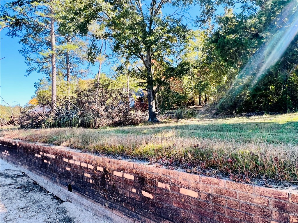 0 Black Road Abbeville, SC 29620 - Photo 24 of 44 BRICK SEAWALL