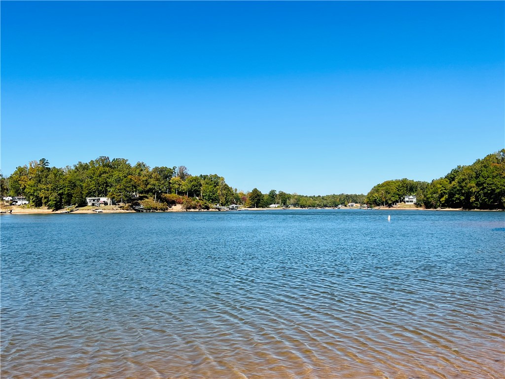 0 Black Road Abbeville, SC 29620 - Photo 26 of 44 VIEW FROM PROPERTY