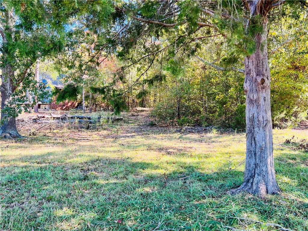 0 Black Road Abbeville, SC 29620 - Photo 33 of 44 Gallery Image 33