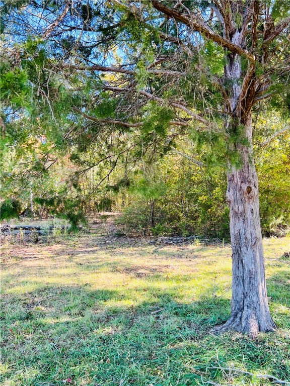 0 Black Road Abbeville, SC 29620 - Photo 34 of 44 Gallery Image 34