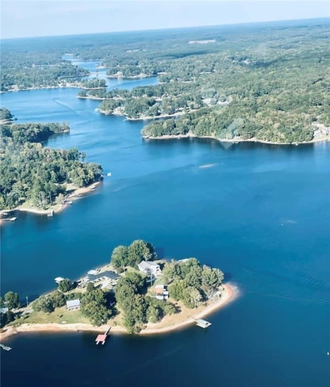 0 Black Road Abbeville, SC 29620 - Photo 44 of 44 AERIAL VIEW OF LAKE SECESSION