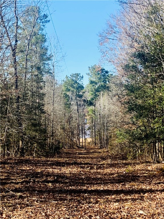 0 Black Road Abbeville, SC 29620 - Photo 5 of 44 DRIVEWAY TO LAKE